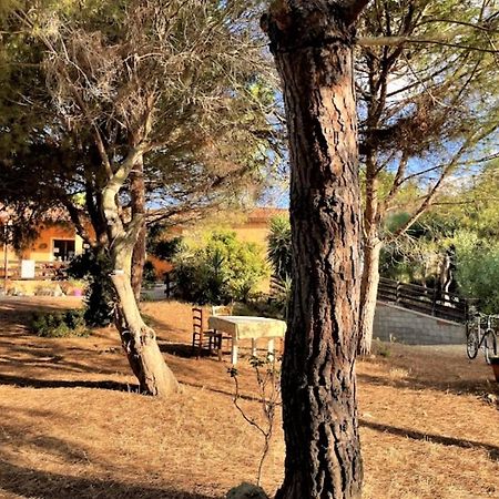 Il Lentischio Del Sinis Villa Putzu Idu Luaran gambar