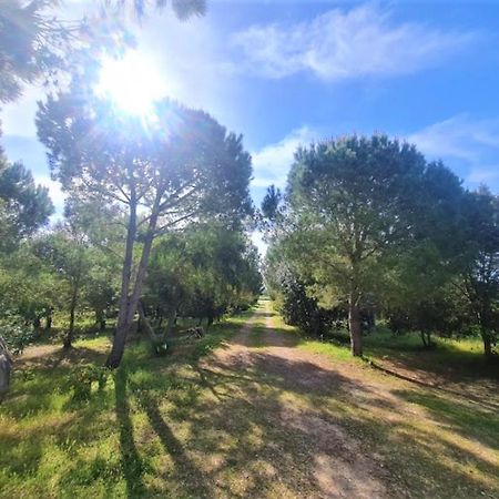 Il Lentischio Del Sinis Villa Putzu Idu Luaran gambar