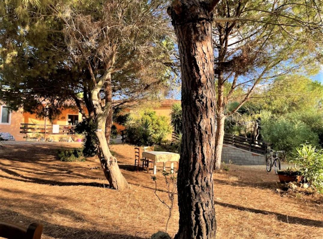 Il Lentischio Del Sinis Villa Putzu Idu Luaran gambar