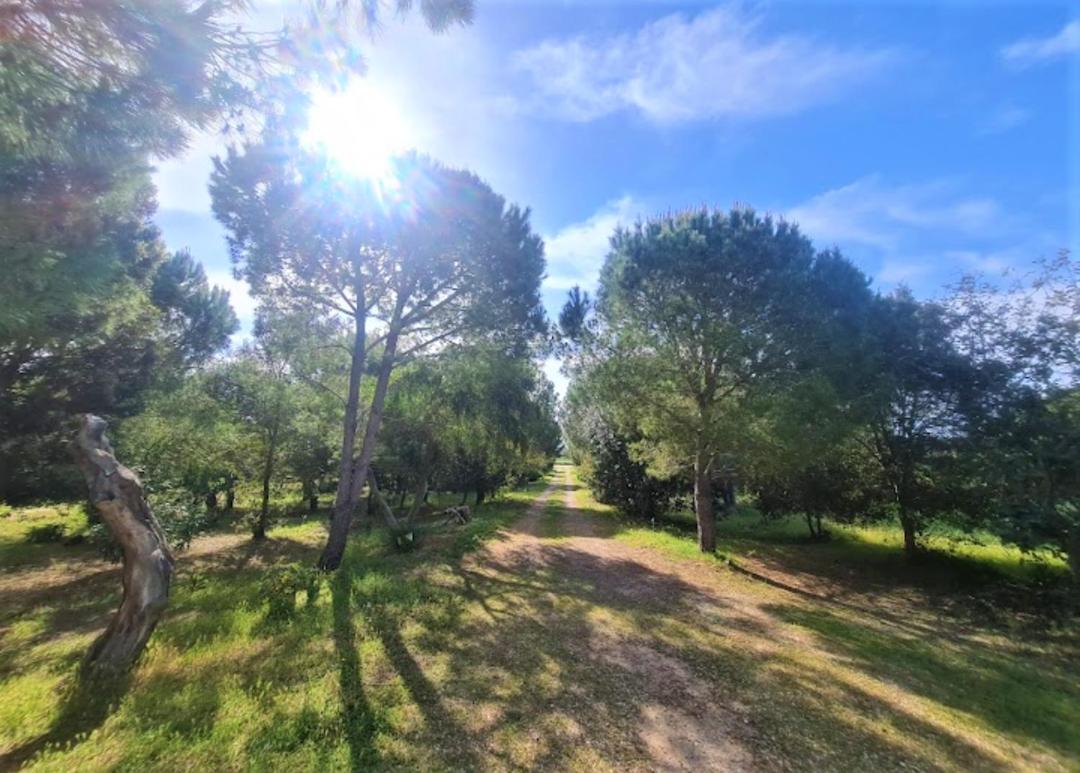 Il Lentischio Del Sinis Villa Putzu Idu Luaran gambar